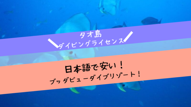 【タオ島ダイビングライセンス】日本語で安いダイブショップ「ブッダビューダイブリゾート」