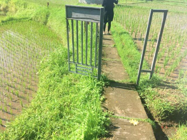 ウブドヨガハウス