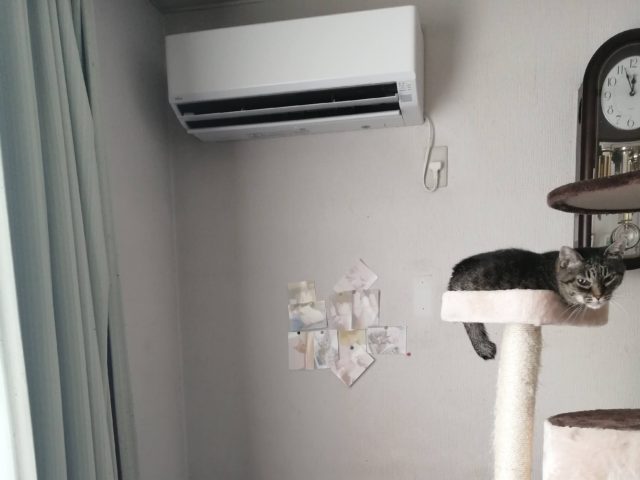 エアコンクリーニング