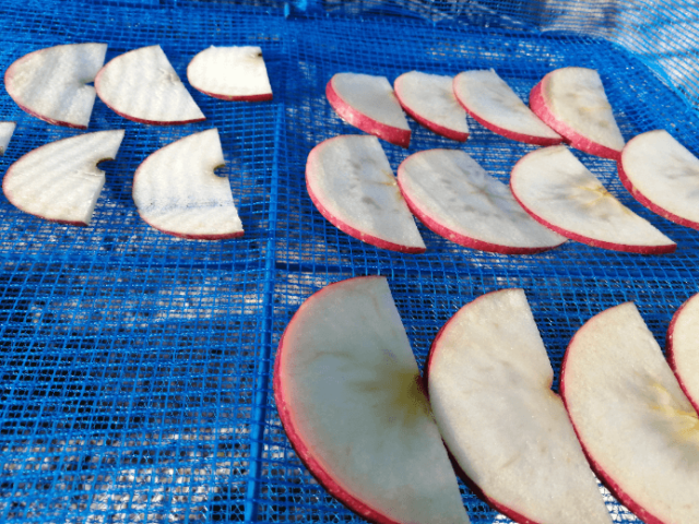 ドライフルーツりんご