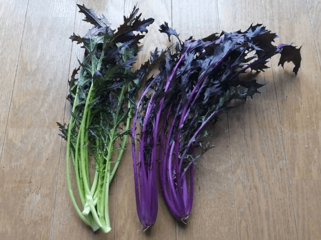 食べチョクの野菜