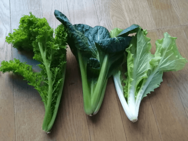 食べチョクの野菜